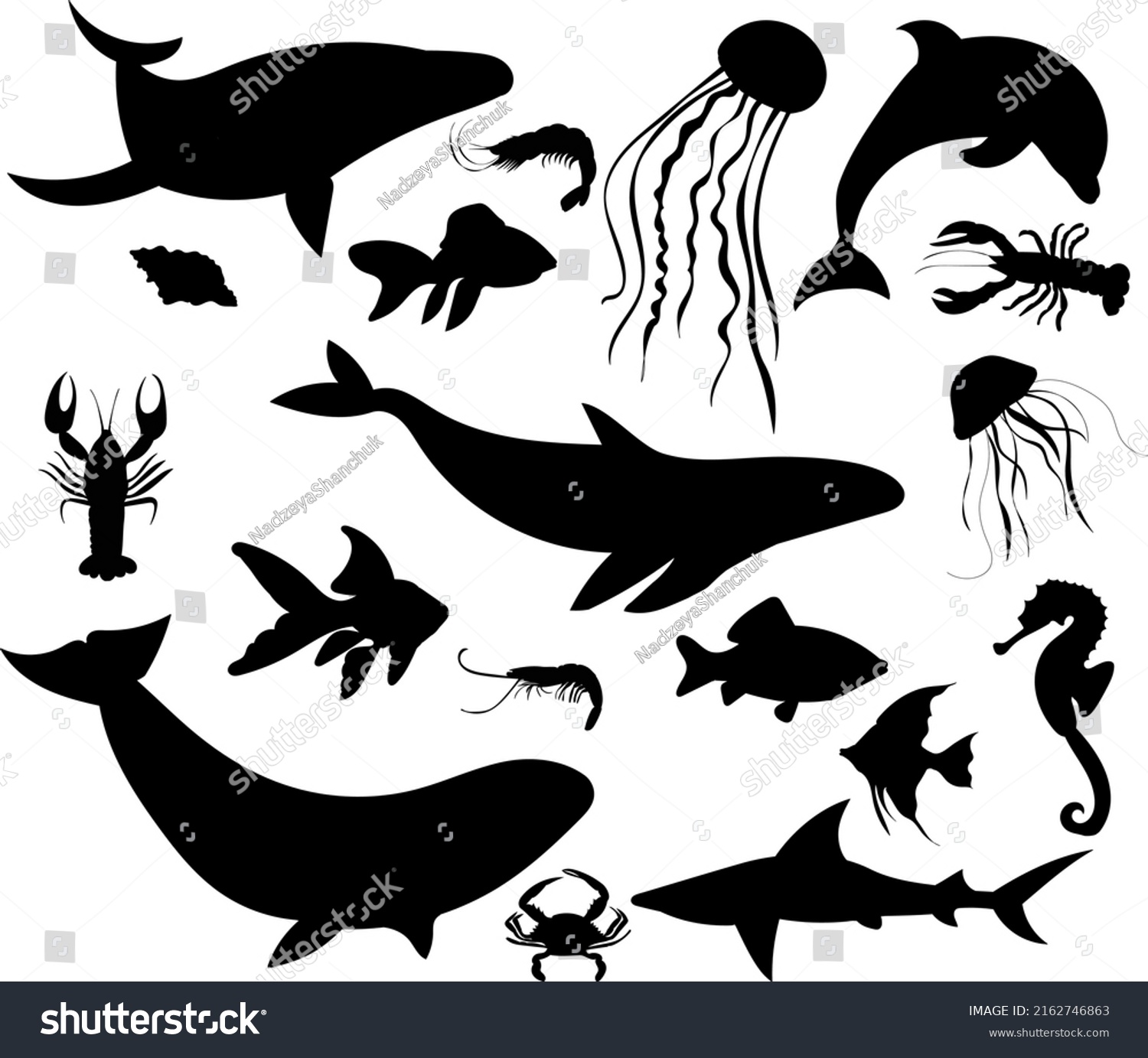 Sea Fish Silhouette On White Background Stock Vector Royalty Free