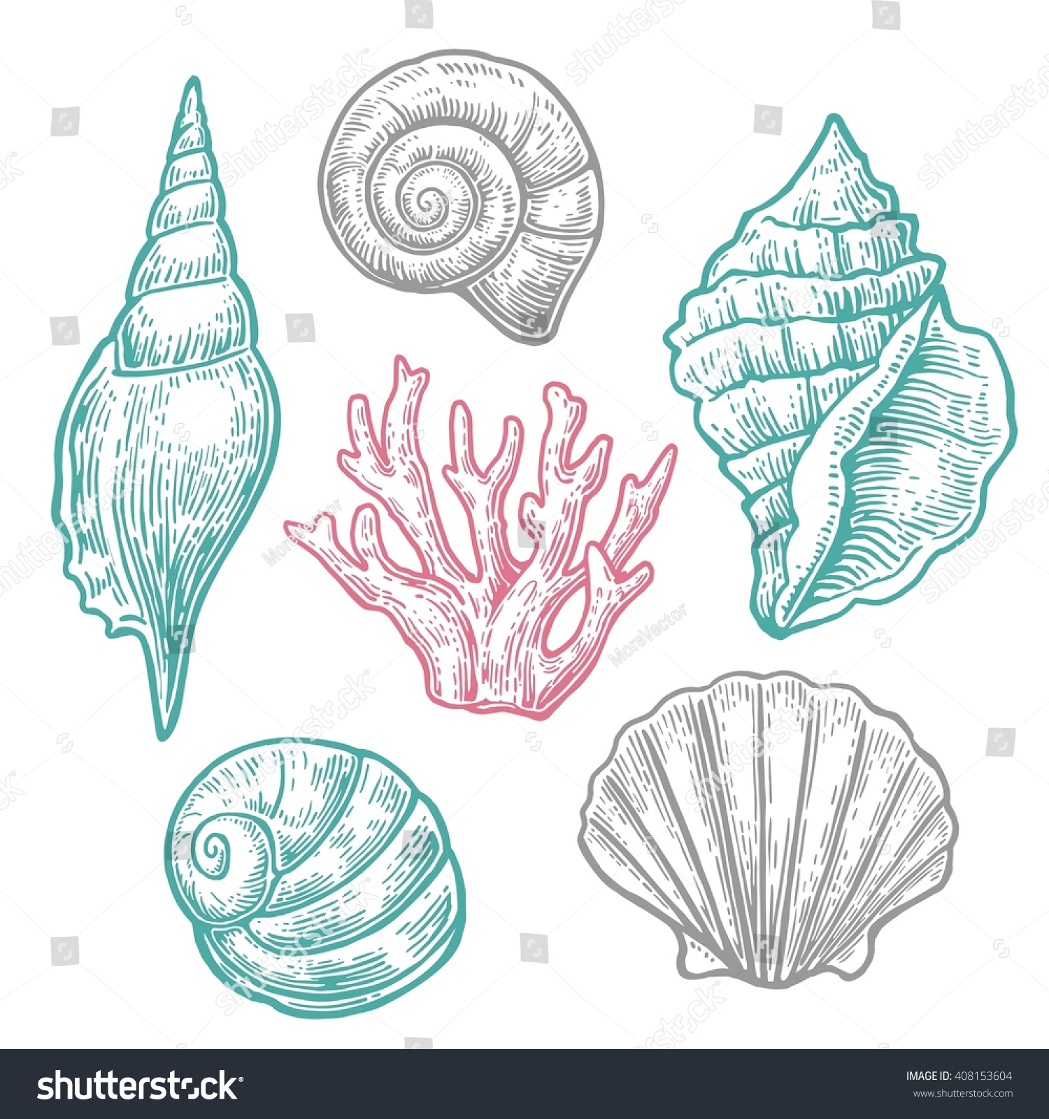 Sea Shell Coral Nautilus Fauna Nature Stock Vector Royalty Free