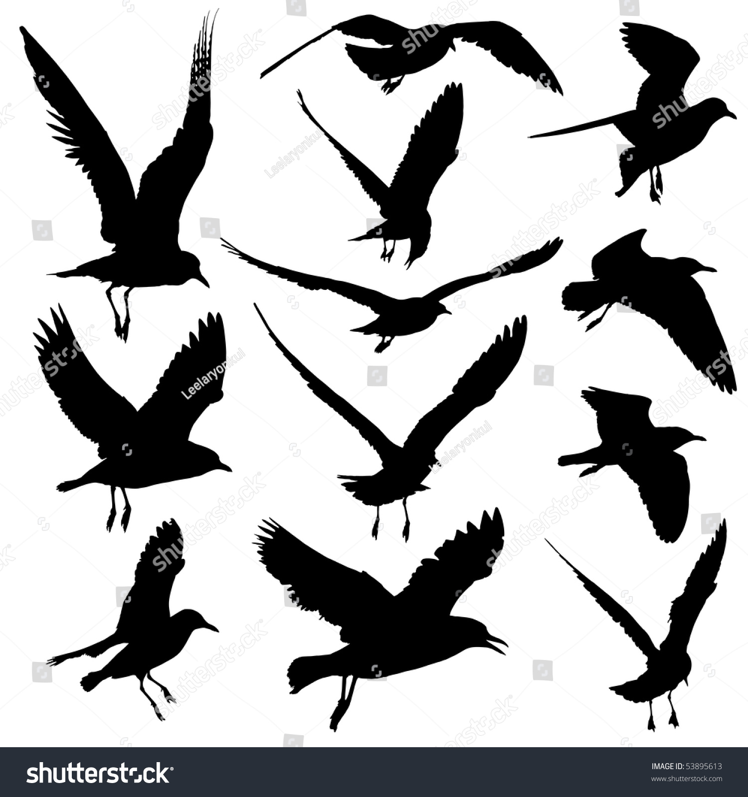 Seagulls Vector - 53895613 : Shutterstock