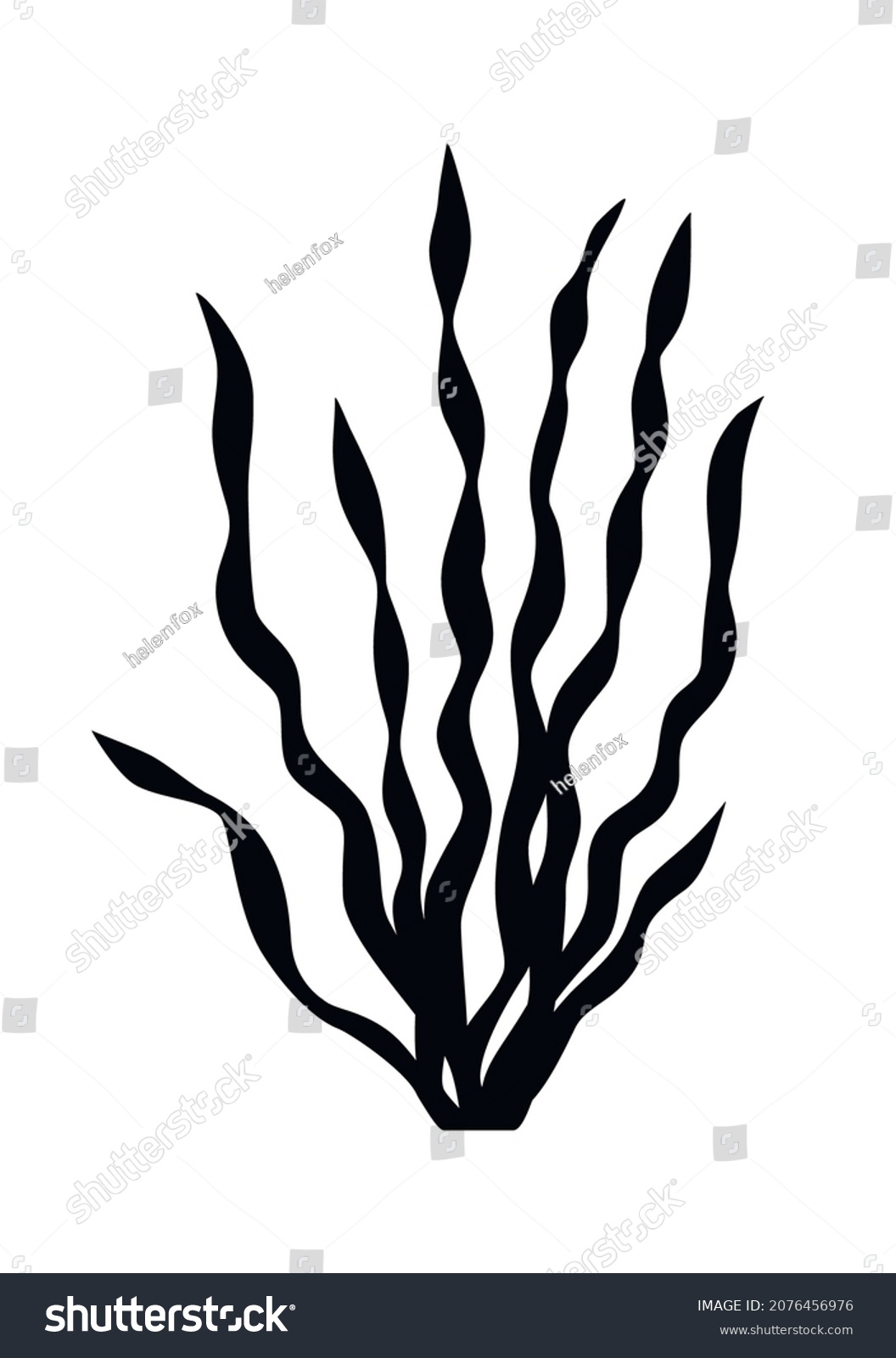 Seaweed Silhouette Alga Template Vector Illustration