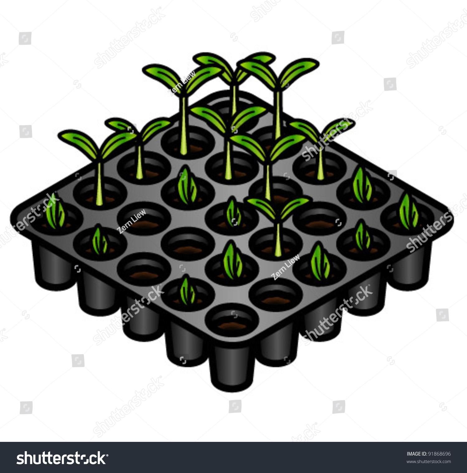 Seedlings And New Shoots In A Germination Tray. Stock Vector