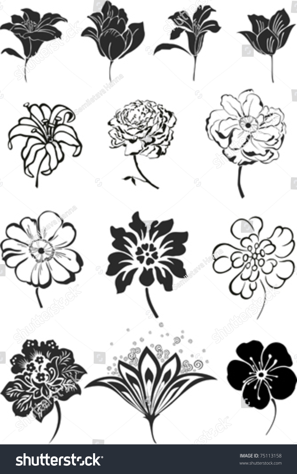 50+ Shutterstock Flower Design PNG - Shutterstock Design