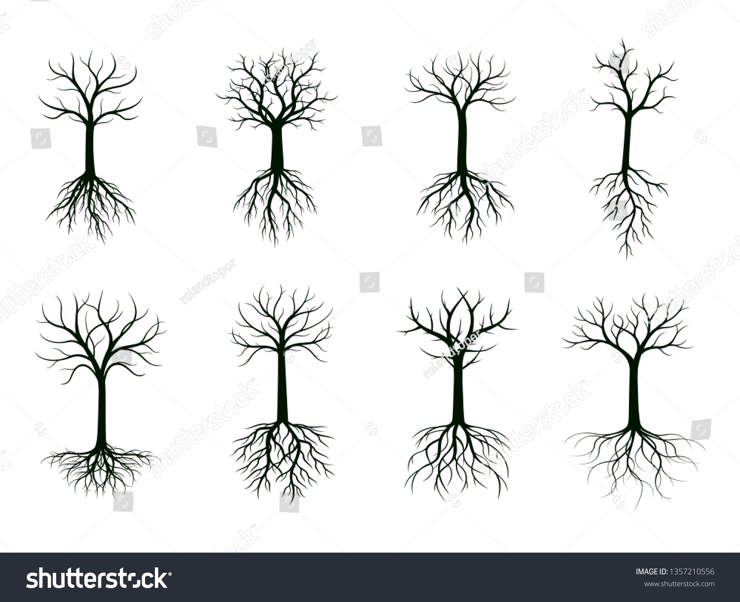 Set Black Naked Trees Roots Vector Stock Vector Royalty Free 1357210556