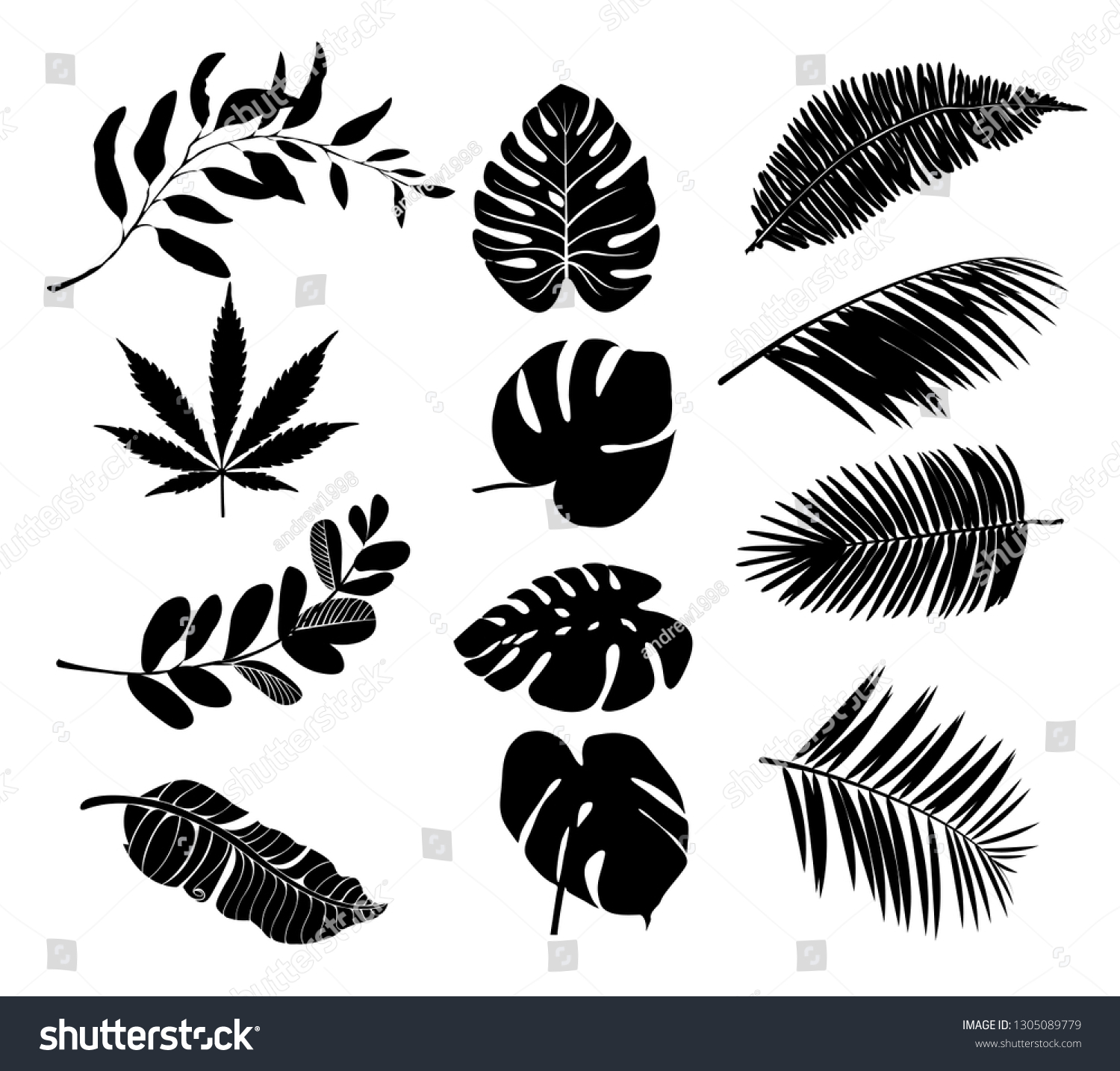 Set Black Silhouettes Tropical Leaves Palms Stock Vector Royalty Free