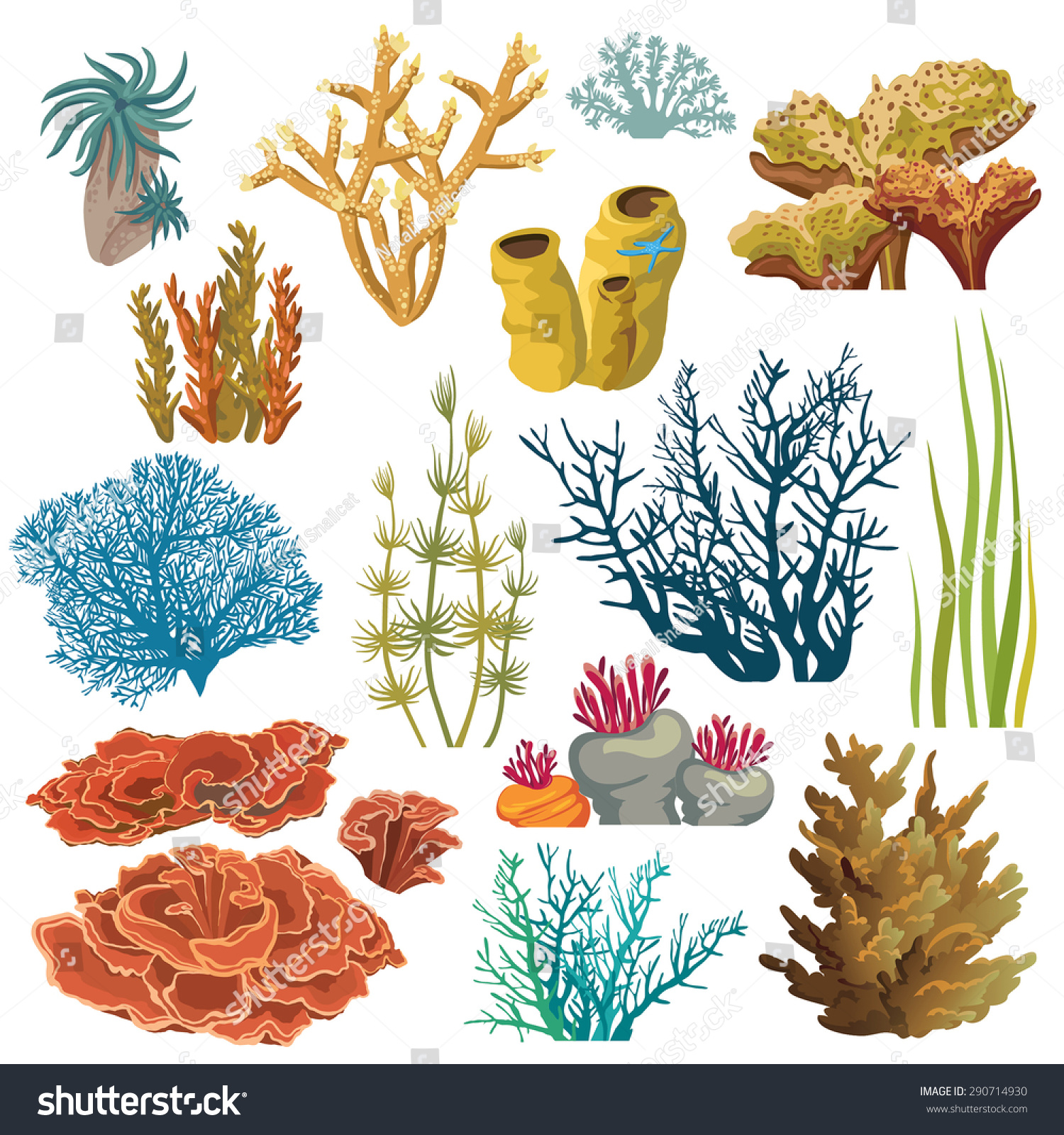 underwater plants clipart - photo #48