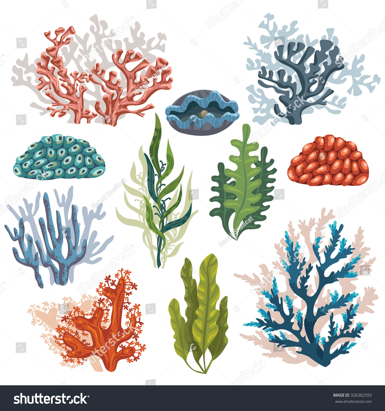 underwater plants clipart - photo #38