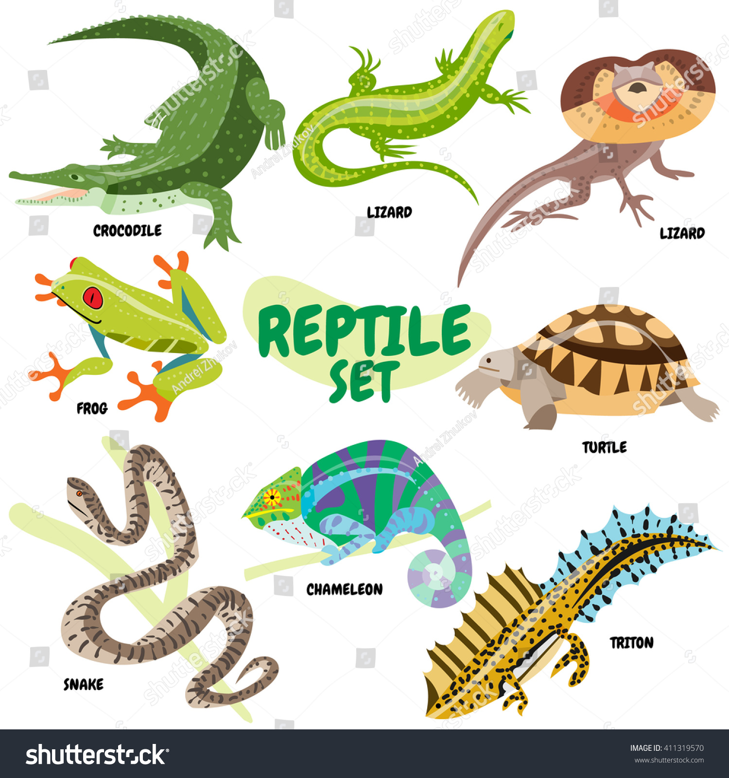 Set Of Cold Blooded Reptiles A Crocodile Or Alligator Lizard Frill