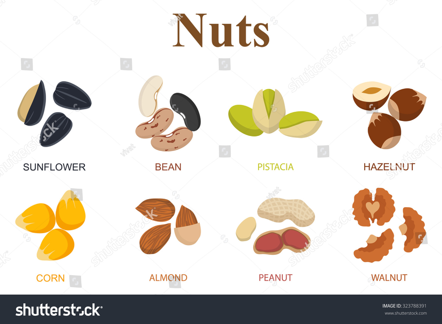 8 different types of cumshot reactions 10