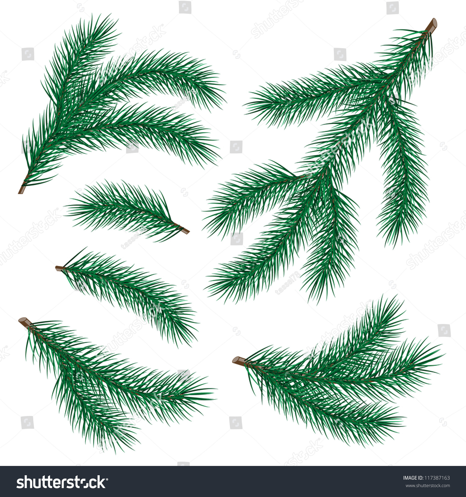 Set Of Fir Branch On White Background. Vector Illustration - 117387163