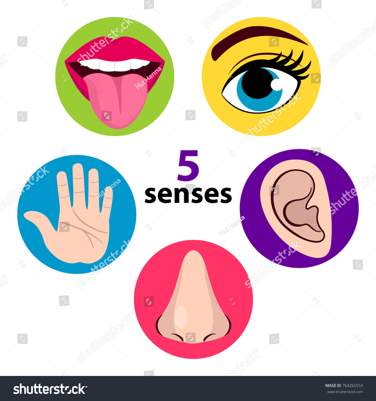 Set Five Human Senses Vision Eye Stock Vector Royalty Free 764265553