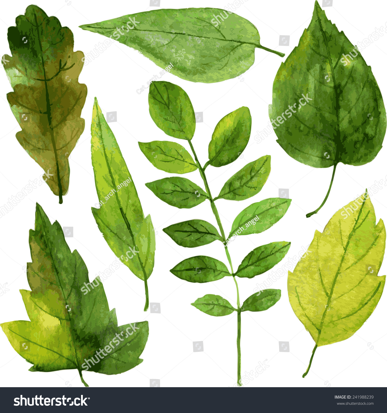 Set Of Green Leaves Drawing By Watercolor, Hand Drawn Vector Elements