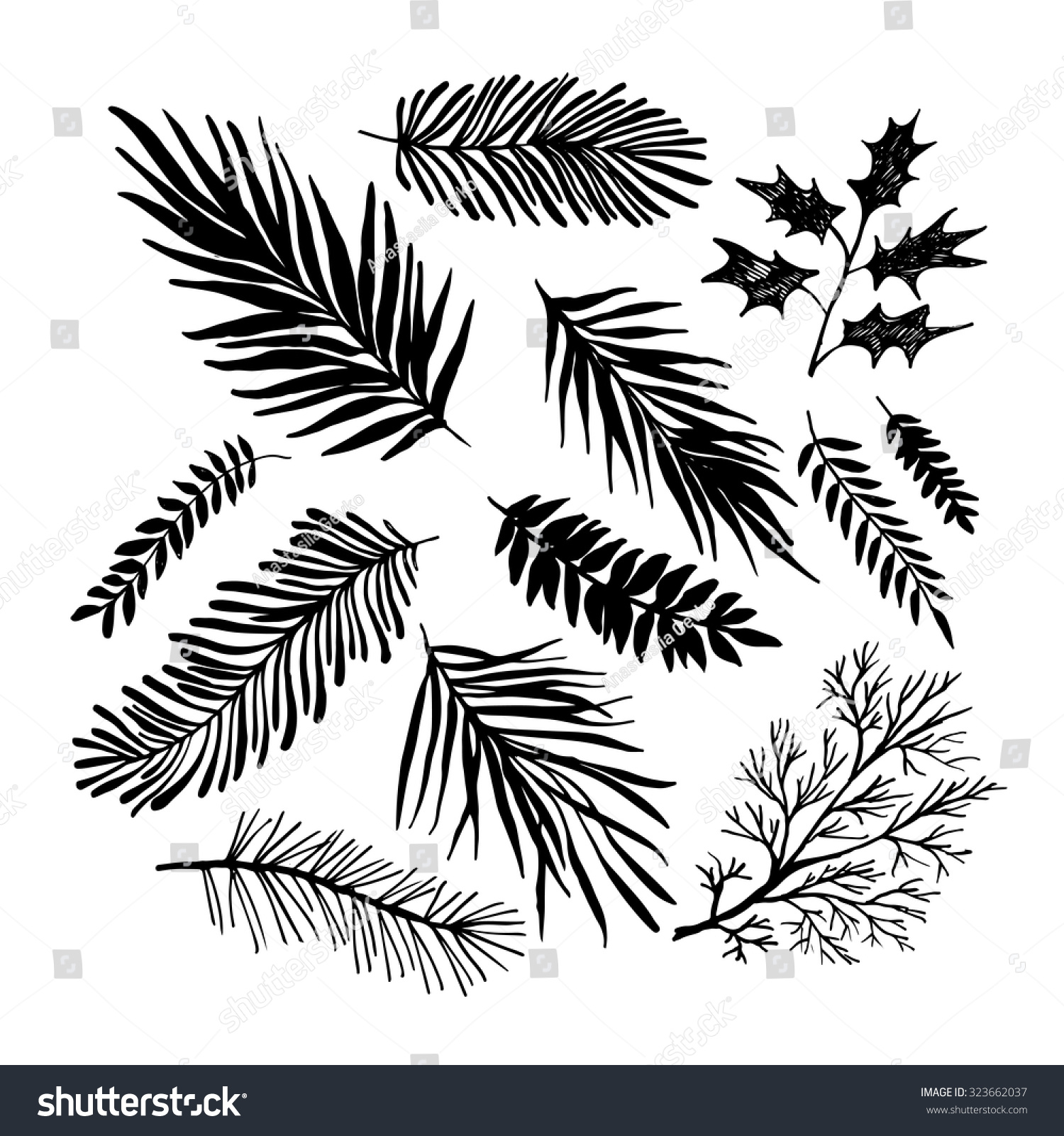 Set Hand Drawn Branches Ink Illustration Stock Vector 323662037 Shutterstock