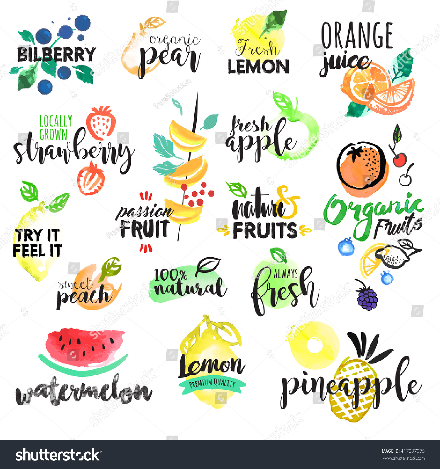 set-of-hand-drawn-watercolor-labels-and-stickers-of-fruit-vector