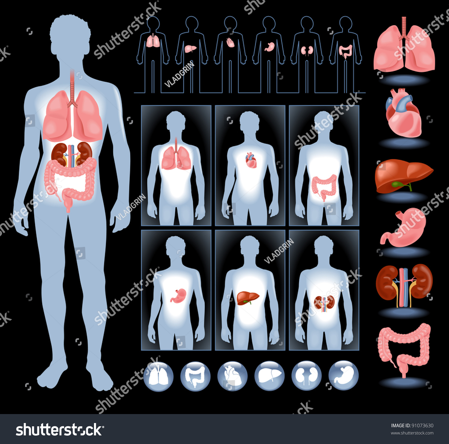 anus tailbone image Anatomy located