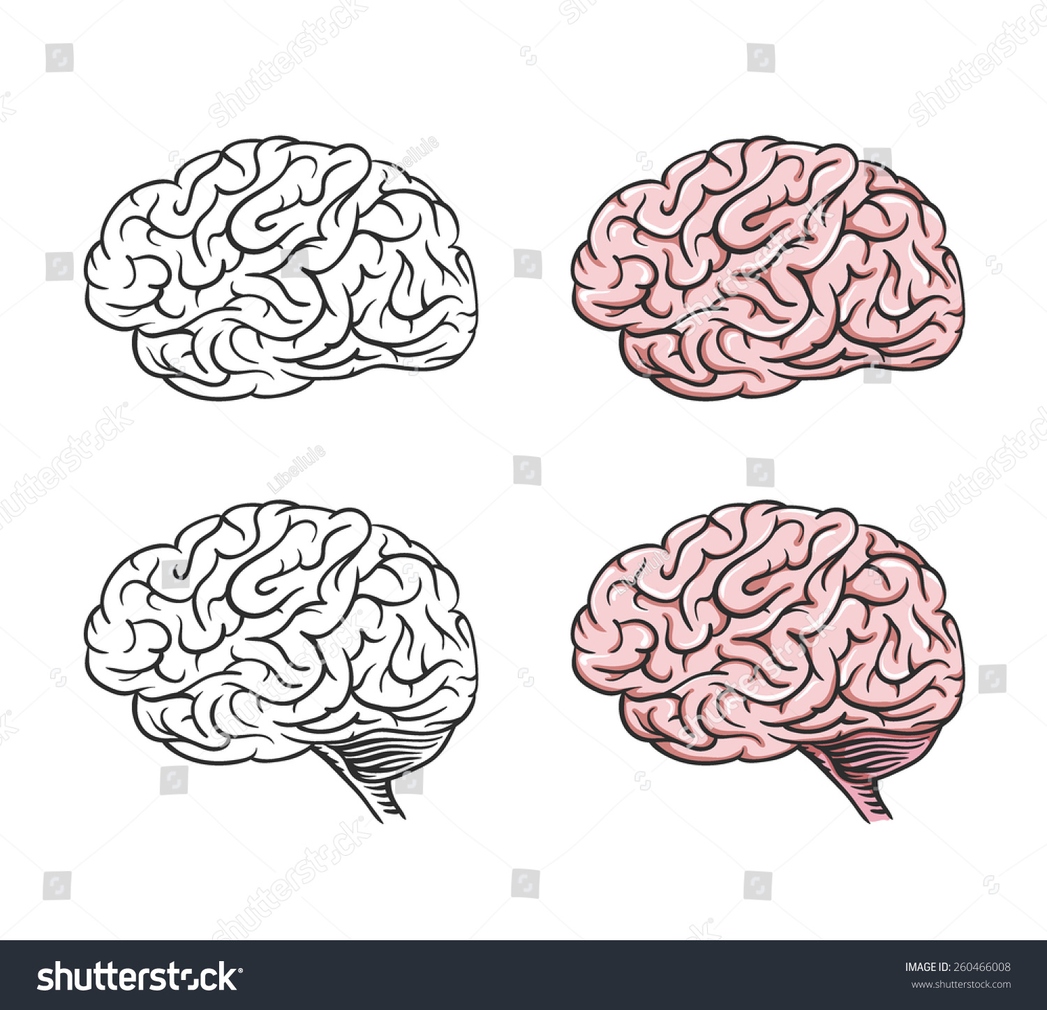 Set Of Isolated Cartoon Brains, Graphical. Stock Vector Illustration