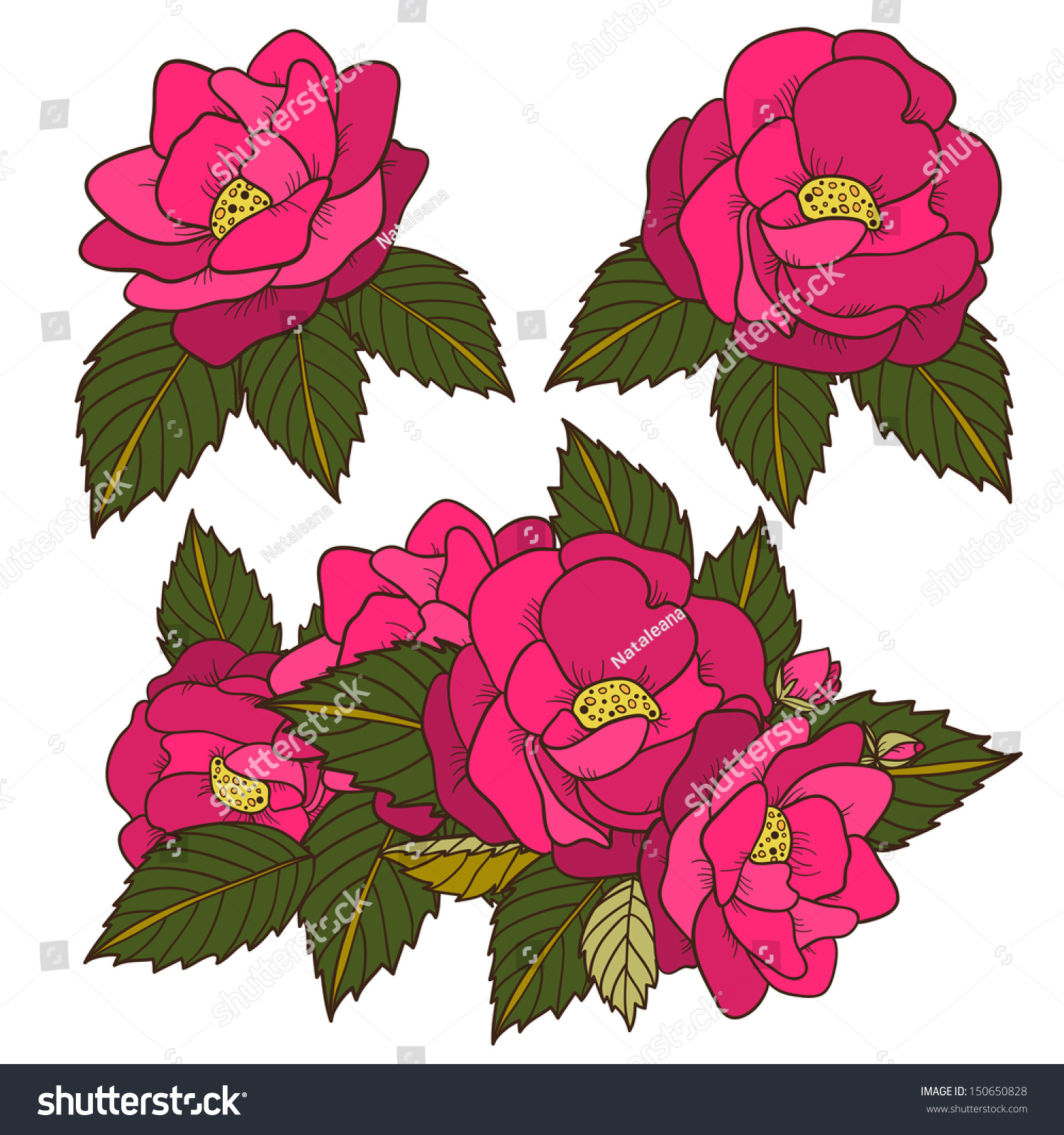 Set Isolated Wild Rose Vector Stock Vector 150650828 - Shutterstock