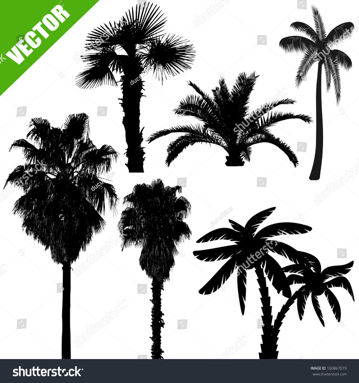 Set Palm Tree Silhouettes On White Stock Vector 160867073 - Shutterstock