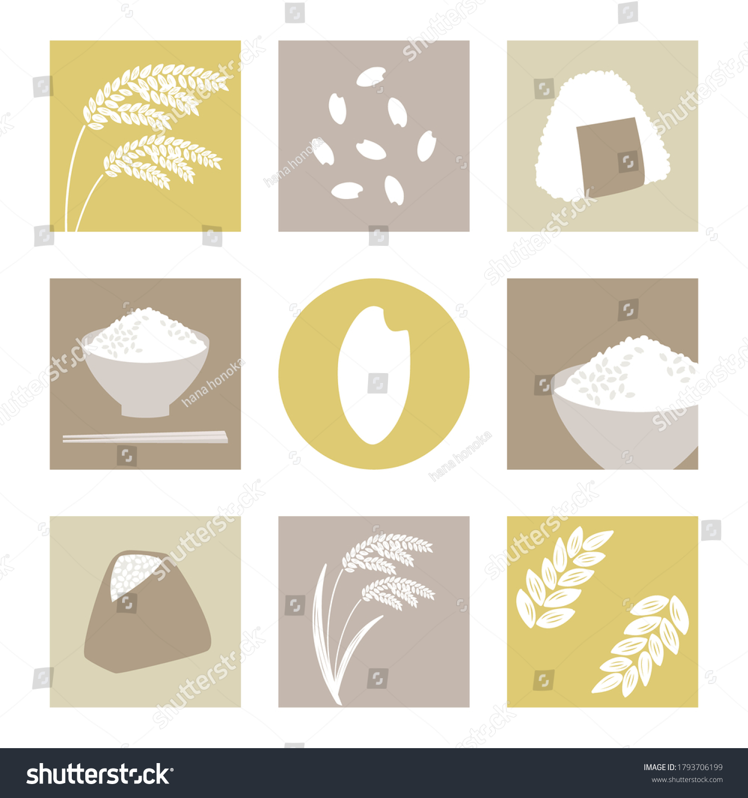 Set Rice Rice Plant Stock Vector Royalty Free