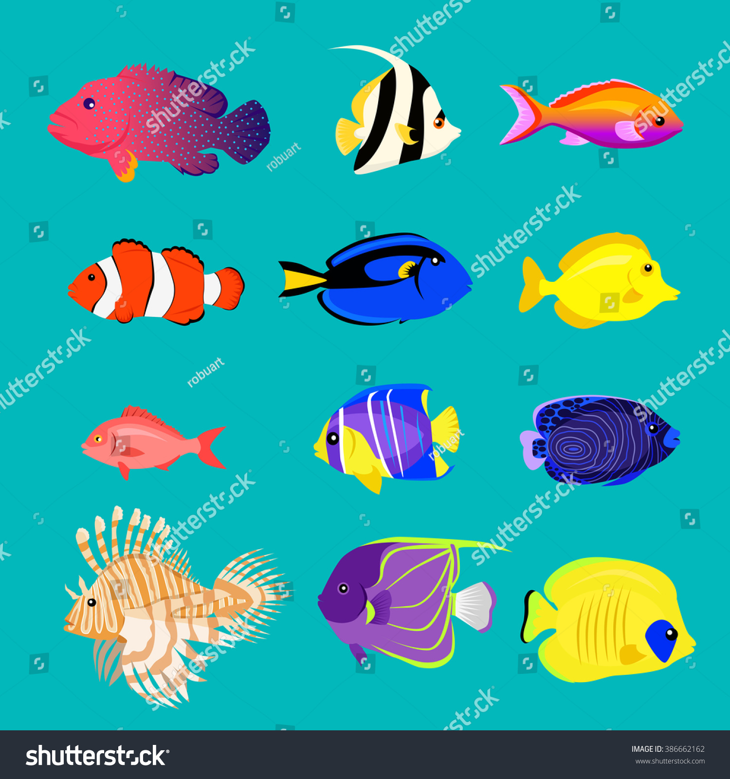 Set of sea fish color design flat Sea and fish ocean fish animal nature cartoon sea fish wildlife aquarium underwater life sea fish exotic sea fish drawing marine fauna sea fish illustration Set of sea fish color design flat Sea and fish ocean fish animal nature cartoon sea fish wildlife aquarium underwater life sea fish exotic sea fish drawing marine fauna sea fish illustration