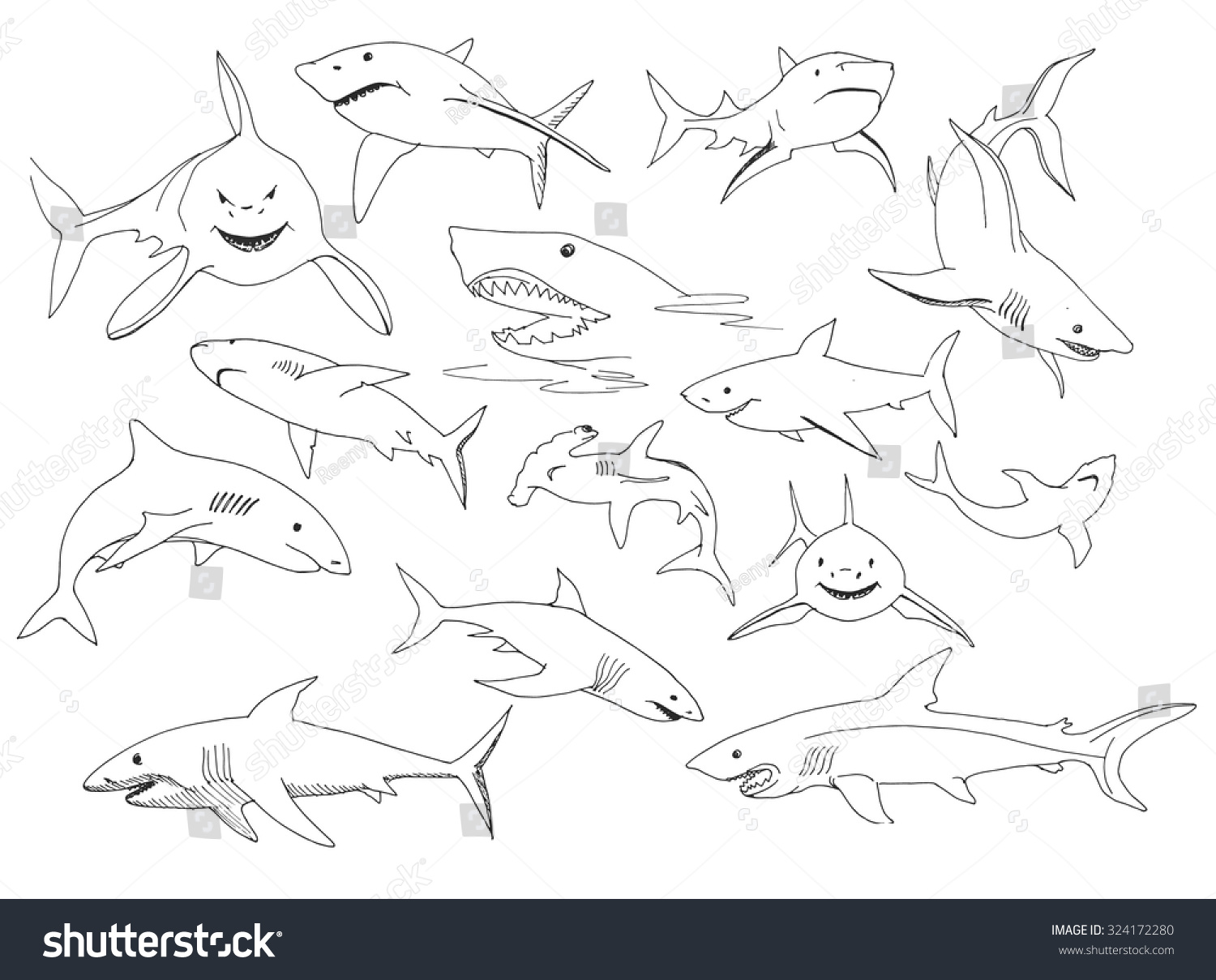 Set Of Sharks Hand Drawn Stock Vector Illustration Shutterstock