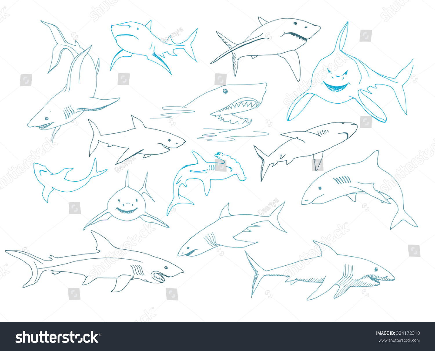 Set Of Sharks Hand Drawn Stock Vector Illustration Shutterstock