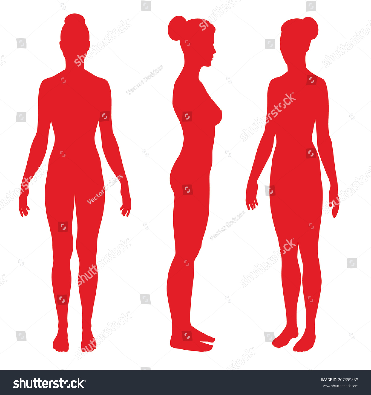 Set Silhouettes Standing Naked Woman Front Stock Vektor Royaltyfri