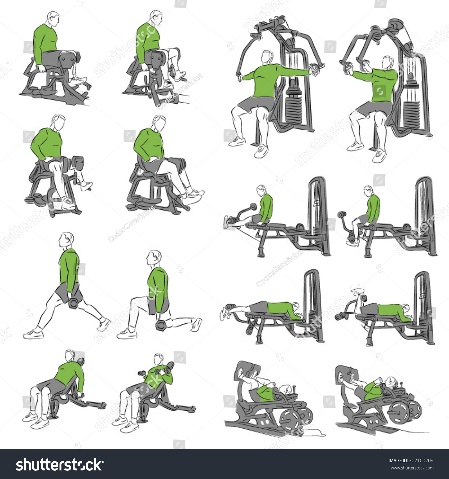 Set Systematic Bodybuilding Exercises Stock Vector 302100209 - Shutterstock