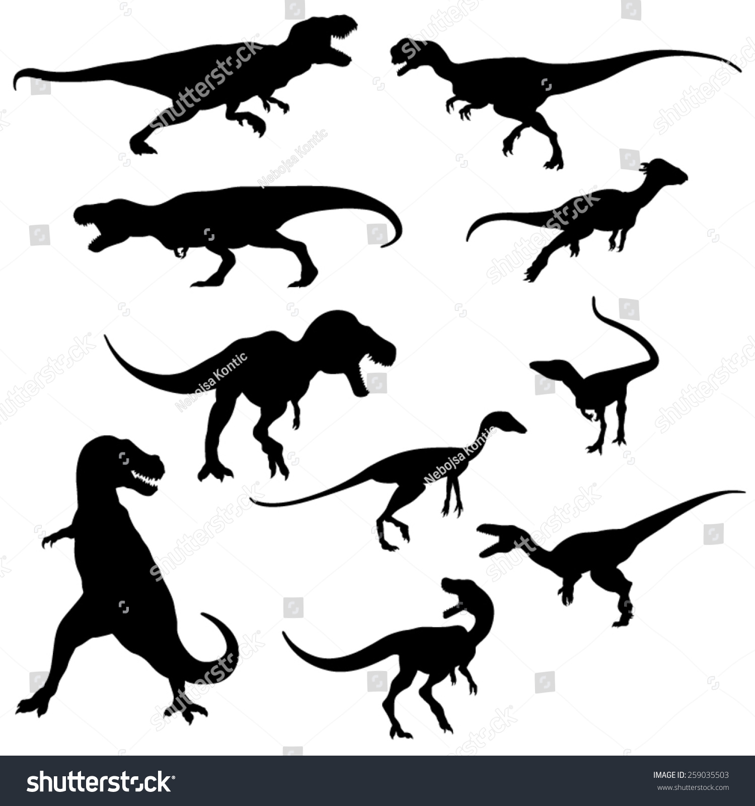 Set Of The Dinosaur Silhouette - Vector Image - 259035503 : Shutterstock