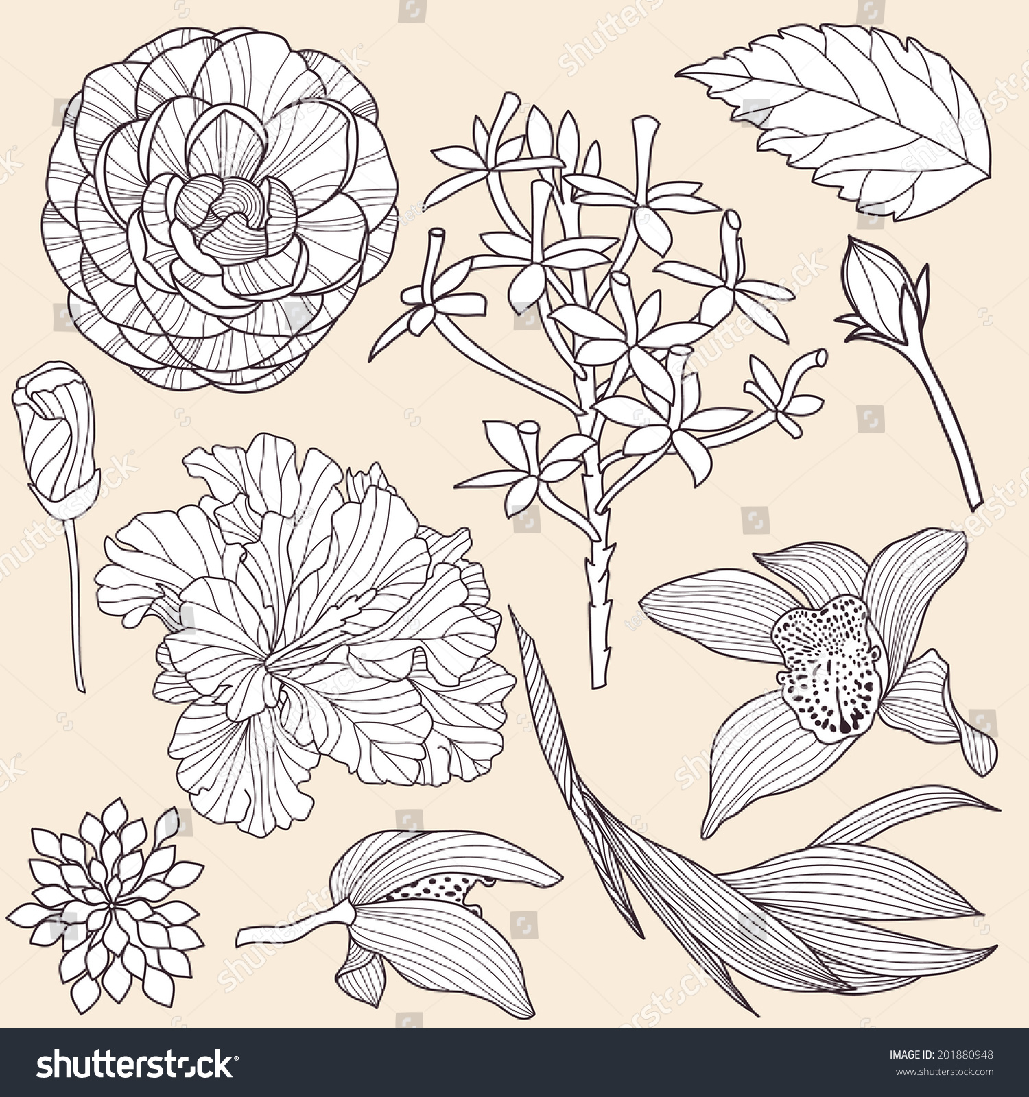 Set Of Vector Tropical Flowers - 201880948 : Shutterstock