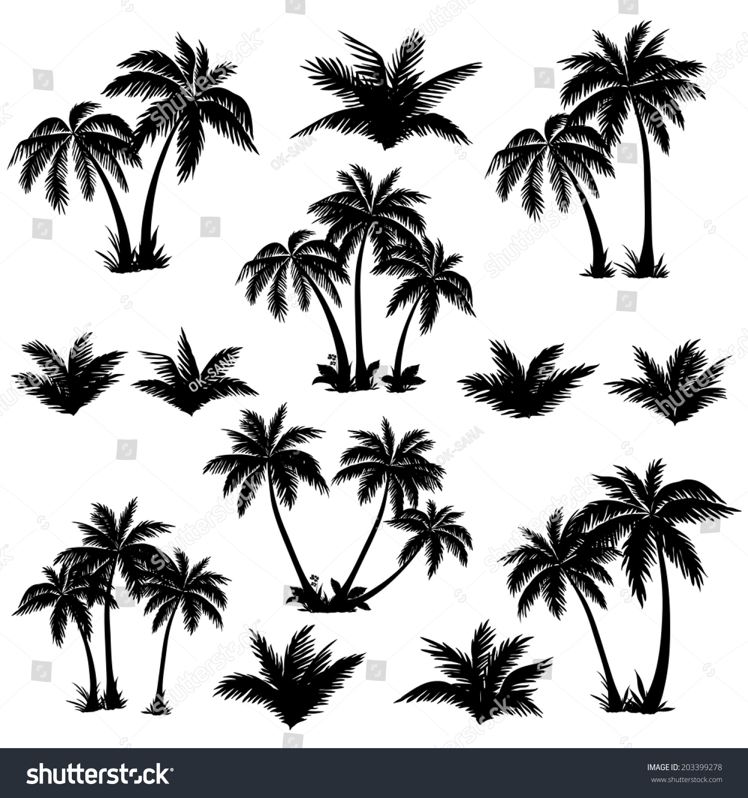 Mature Palm Tree 3