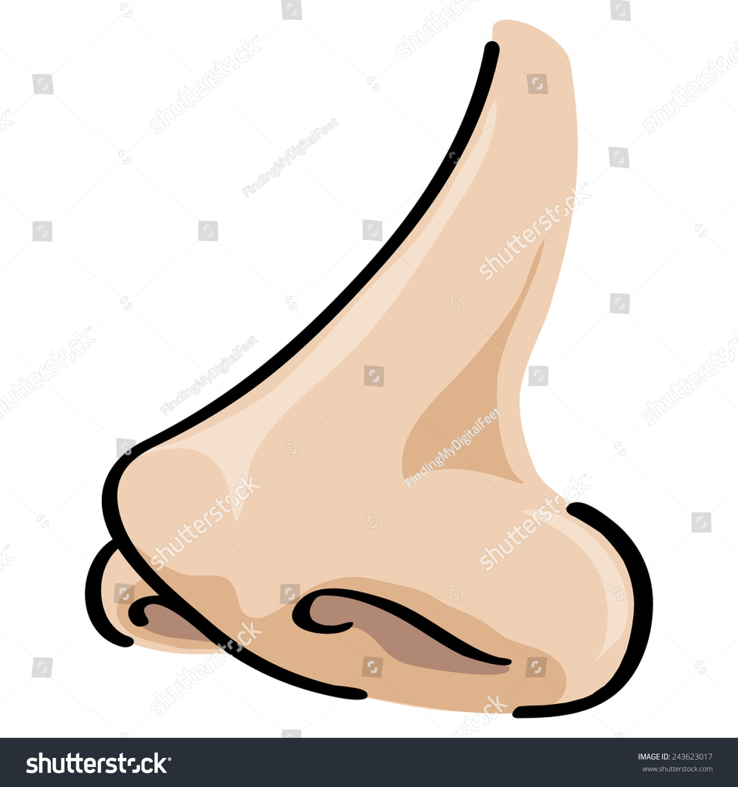 Shaded Nose Vector Cartoon Isolated - 243623017 : Shutterstock