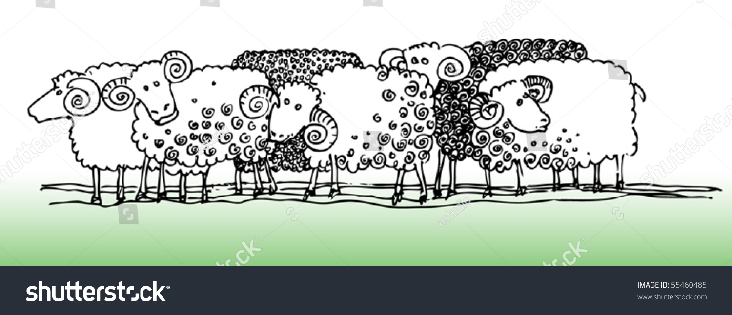 Sheep, Hand-Drawn Illustration, Vector - 55460485 : Shutterstock