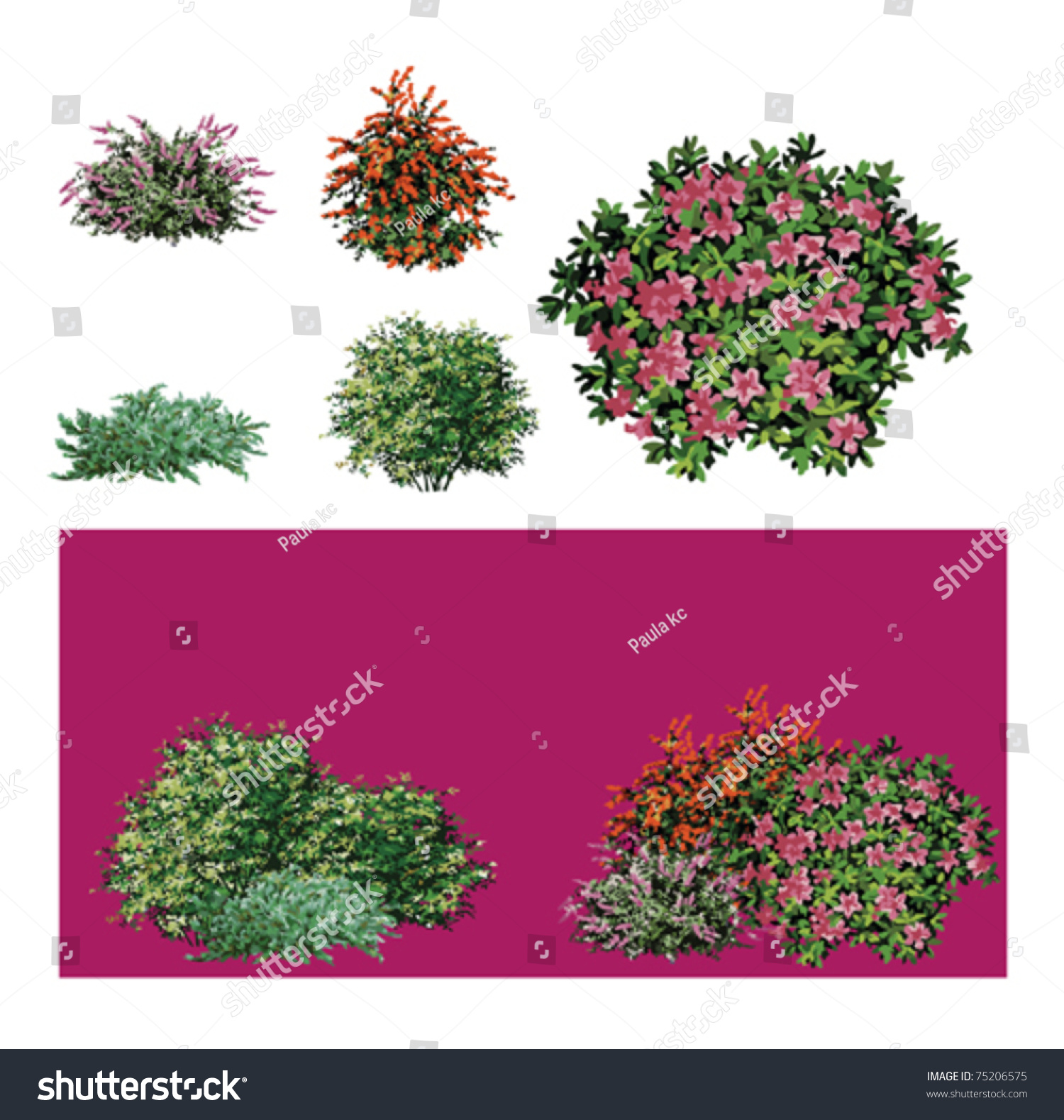 Shrub Flower Stock Vector Illustration 75206575 Shutterstock