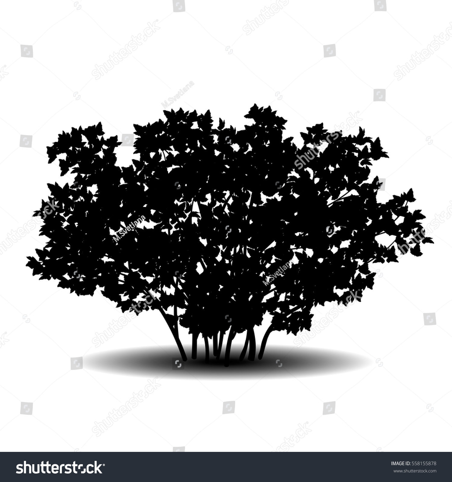 Silhouette Bush Leaves Shadow On White Stock Vector Royalty Free