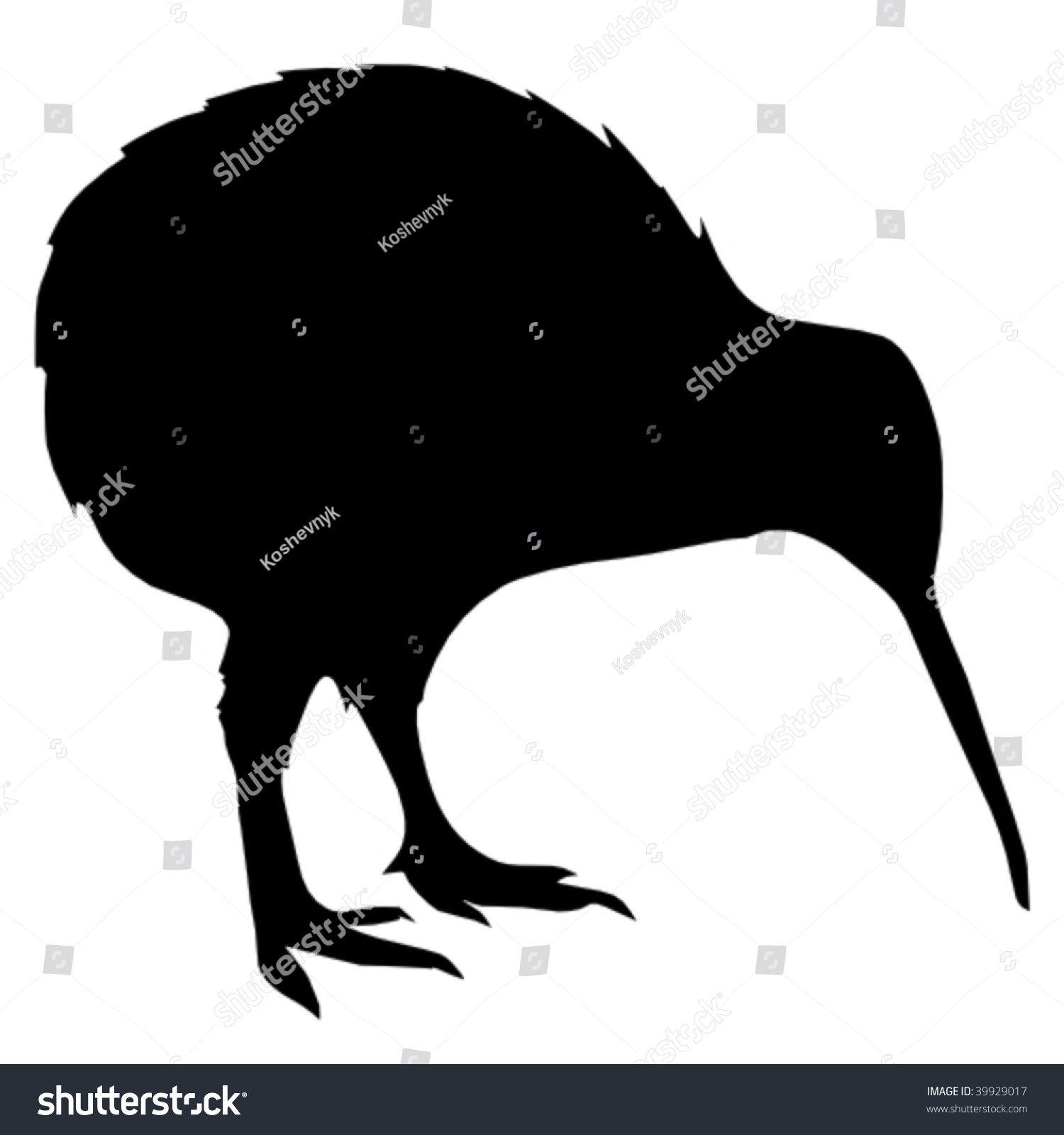 Silhouette Of Kiwi Stock Vector Illustration 39929017 : Shutterstock