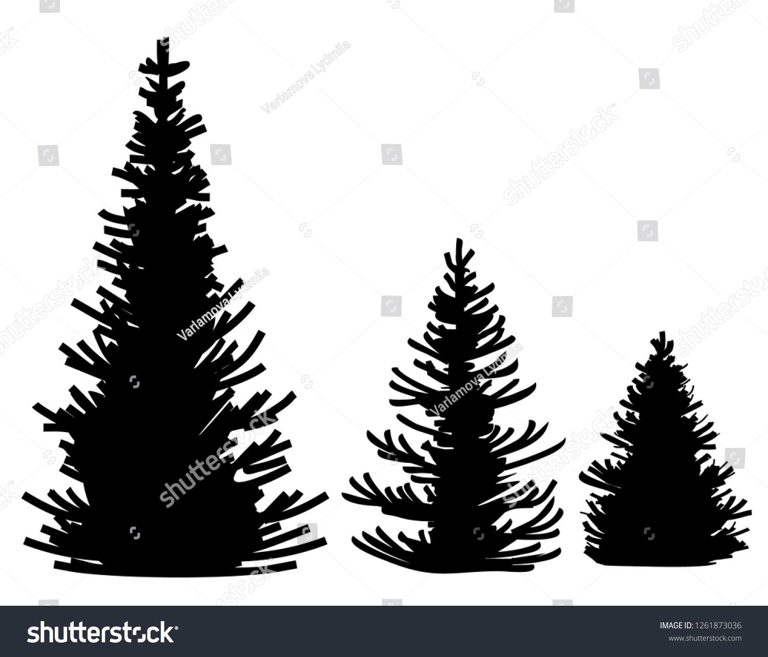 Silhouette Pine Trees Vector Set Coniferous Vector De Stock Libre De