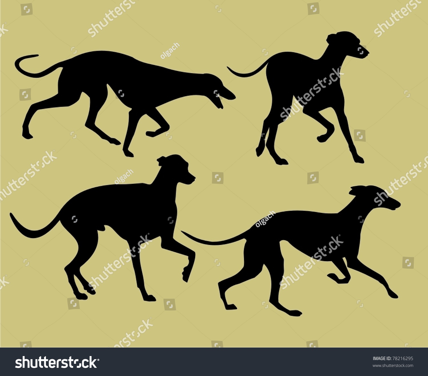 Silhouettes Of Greyhounds Stock Vector Illustration 78216295 : Shutterstock