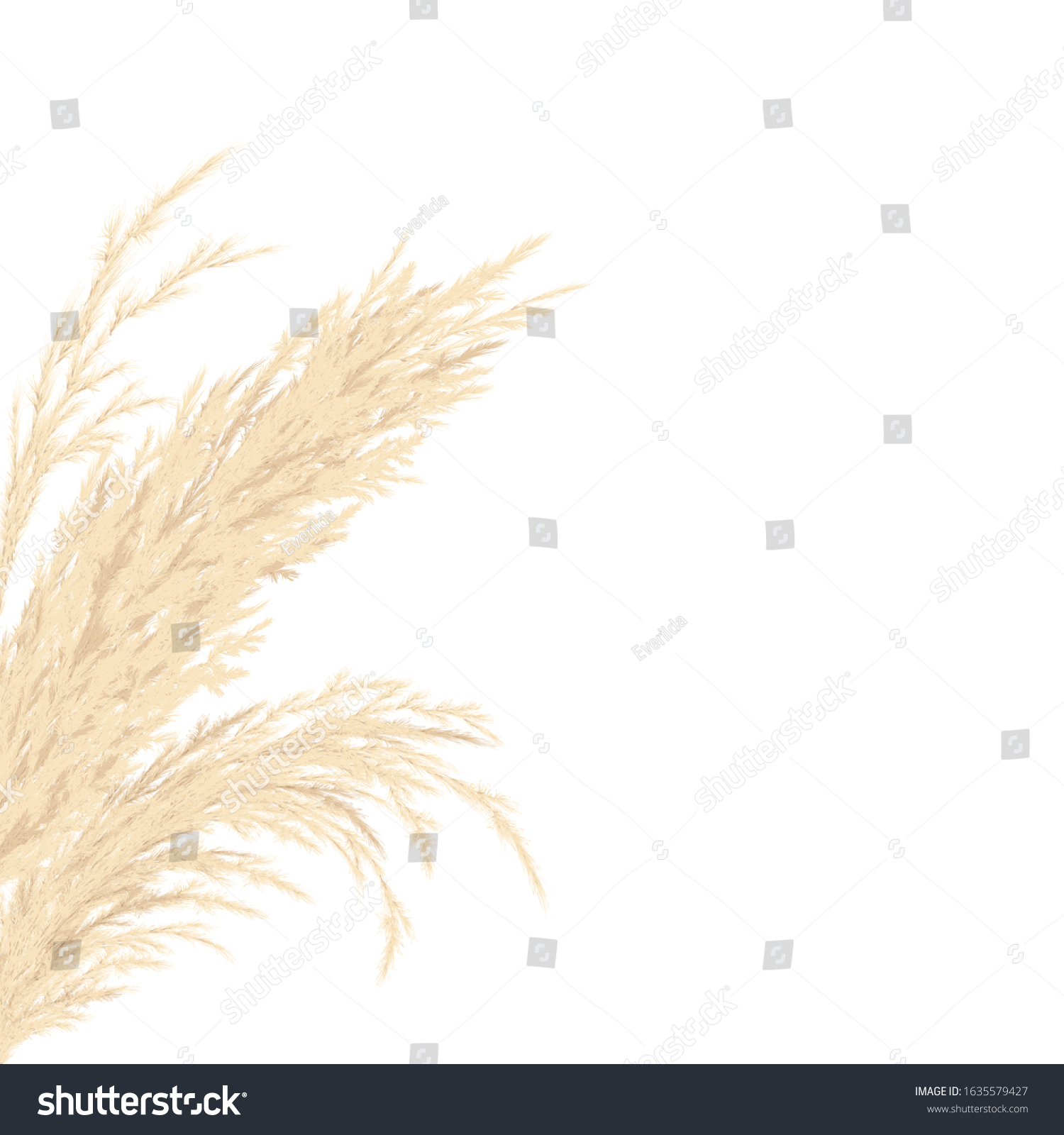 Silver Golden Pampas Grass Card Template Vector De Stock Libre De