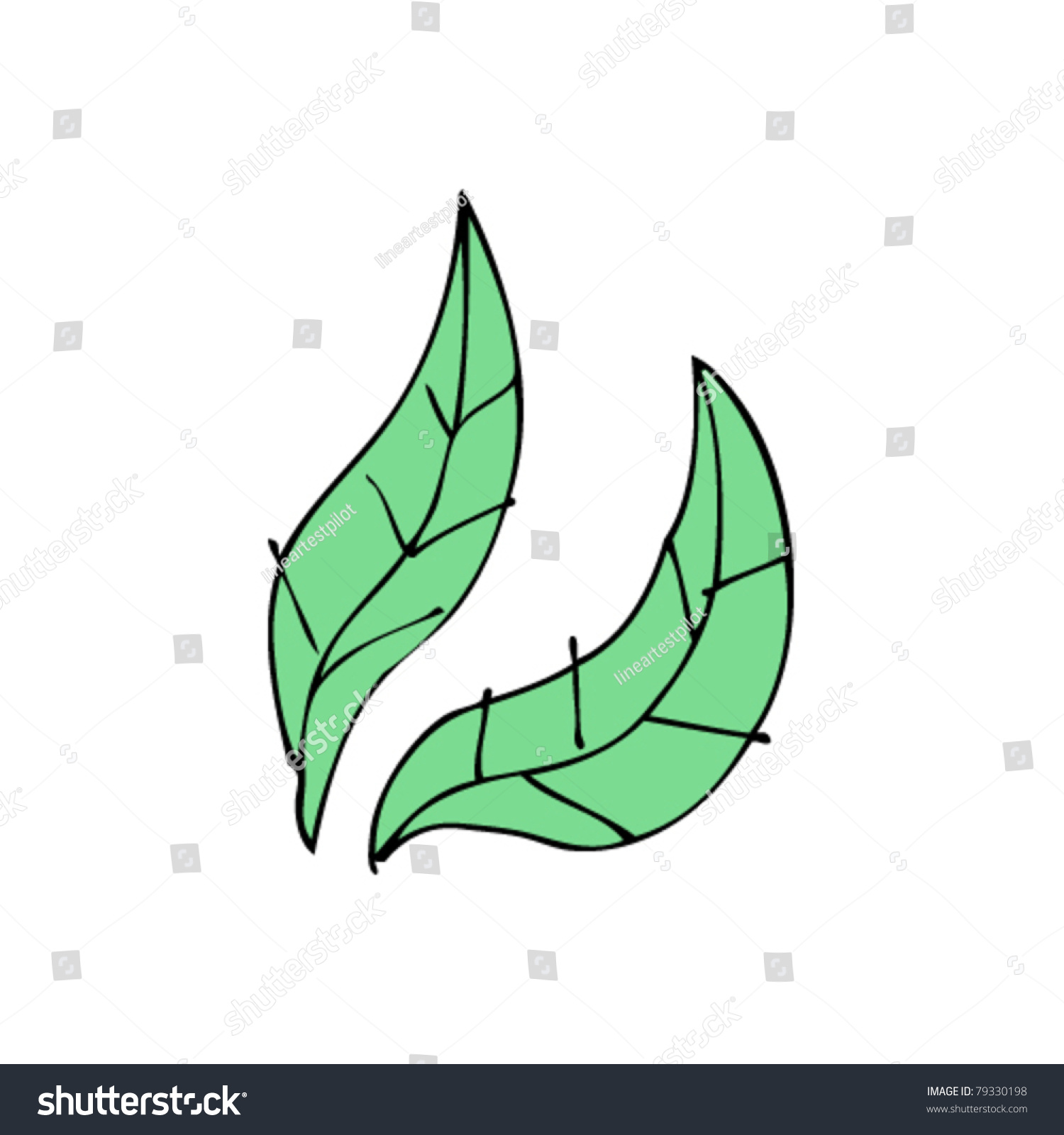 Simple Leaves Cartoon Stock Vector Illustration 79330198 : Shutterstock