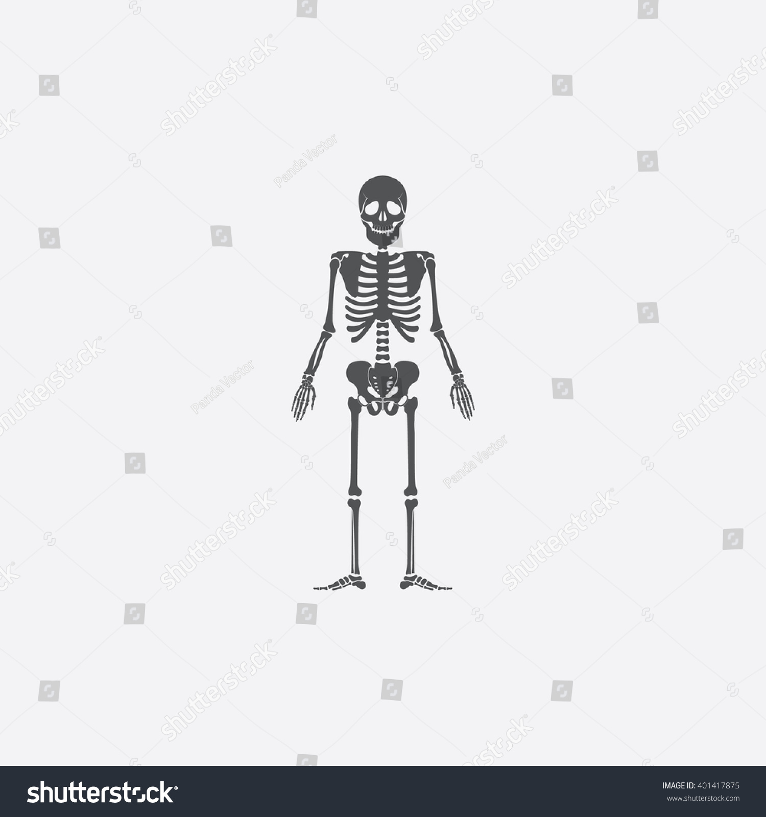 Skeleton Icon. Stock Vector Illustration 401417875 : Shutterstock