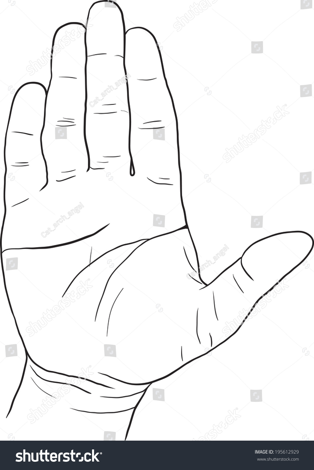 Sketch Drawing Hand, Palm, Vector Illustration 195612929 Shutterstock