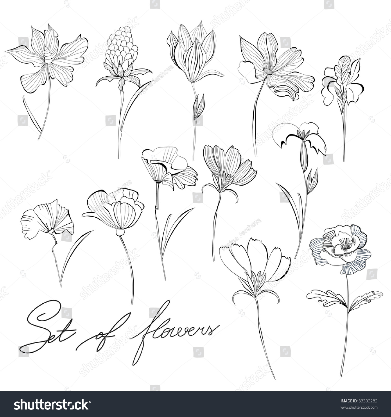 Sketch Of Flowers Stock Vector Illustration 83302282 : Shutterstock