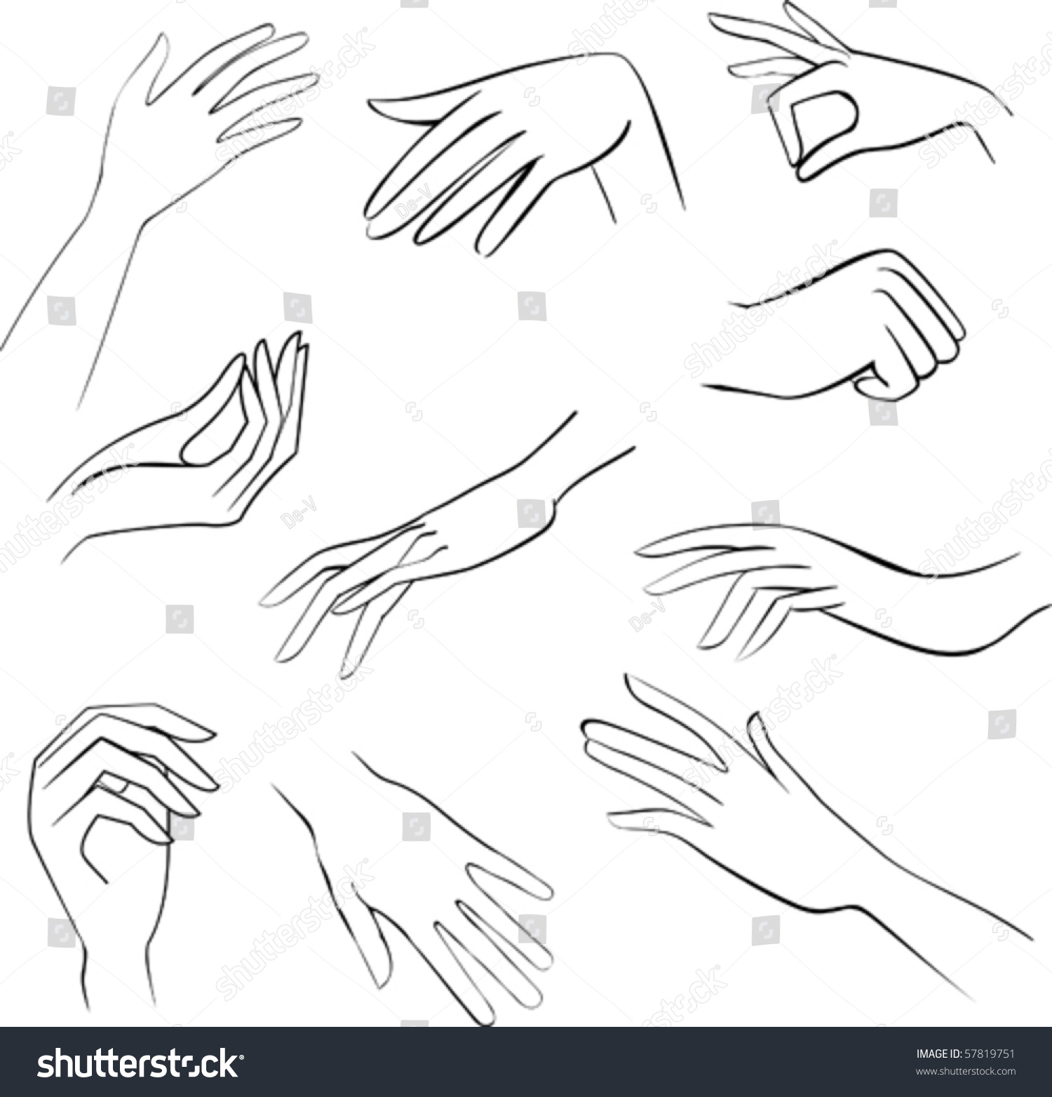 Sketch Set Woman Hands Stock Vector Illustration 57819751 : Shutterstock