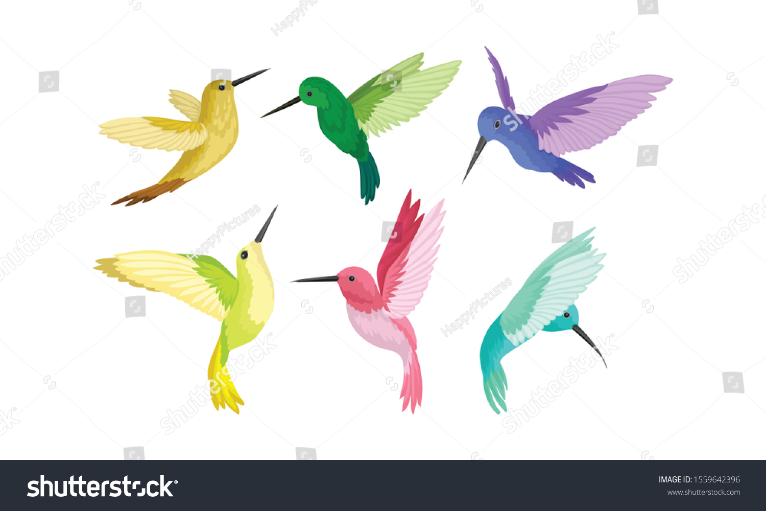 Small Bright Colorful Hummingbirds Flying Sitting Stock Vector Royalty