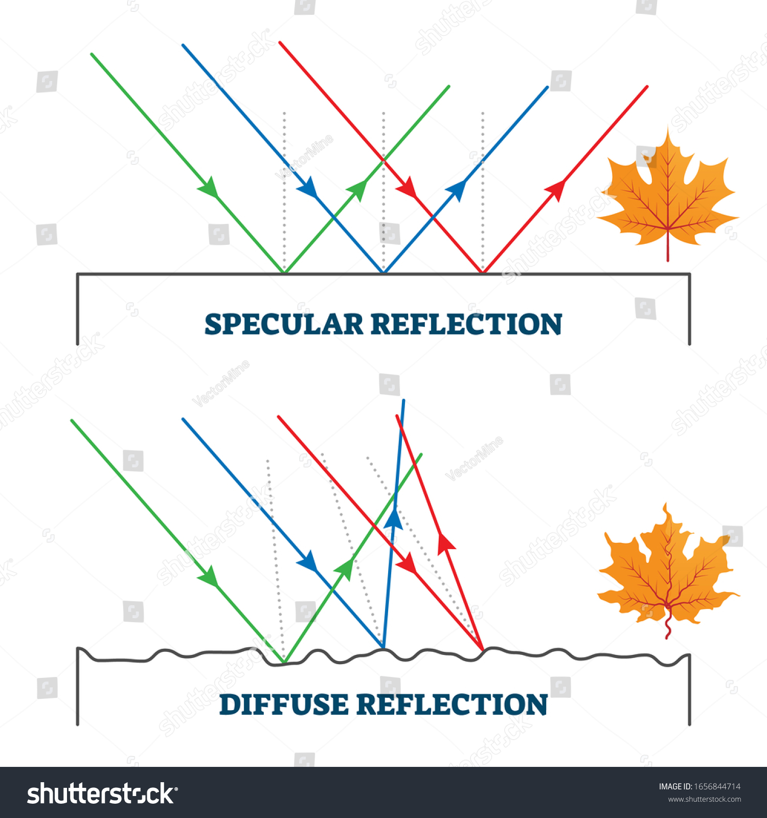 Stock Vektor Specular Diffuse Reflection Vector Illustration Diagram