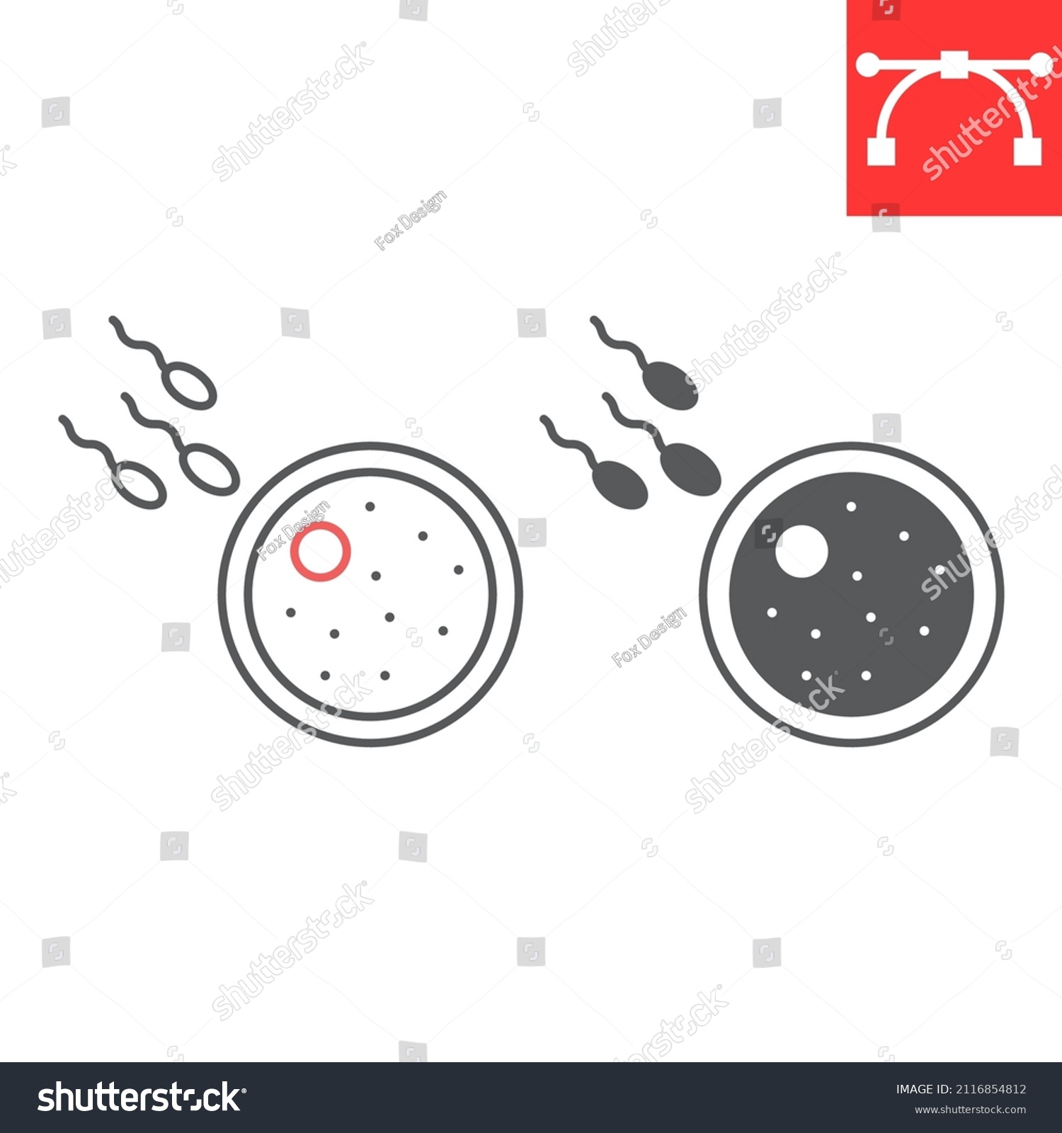 Sperm Fertilizing Egg Cell Line Glyph Stock Vector Royalty Free