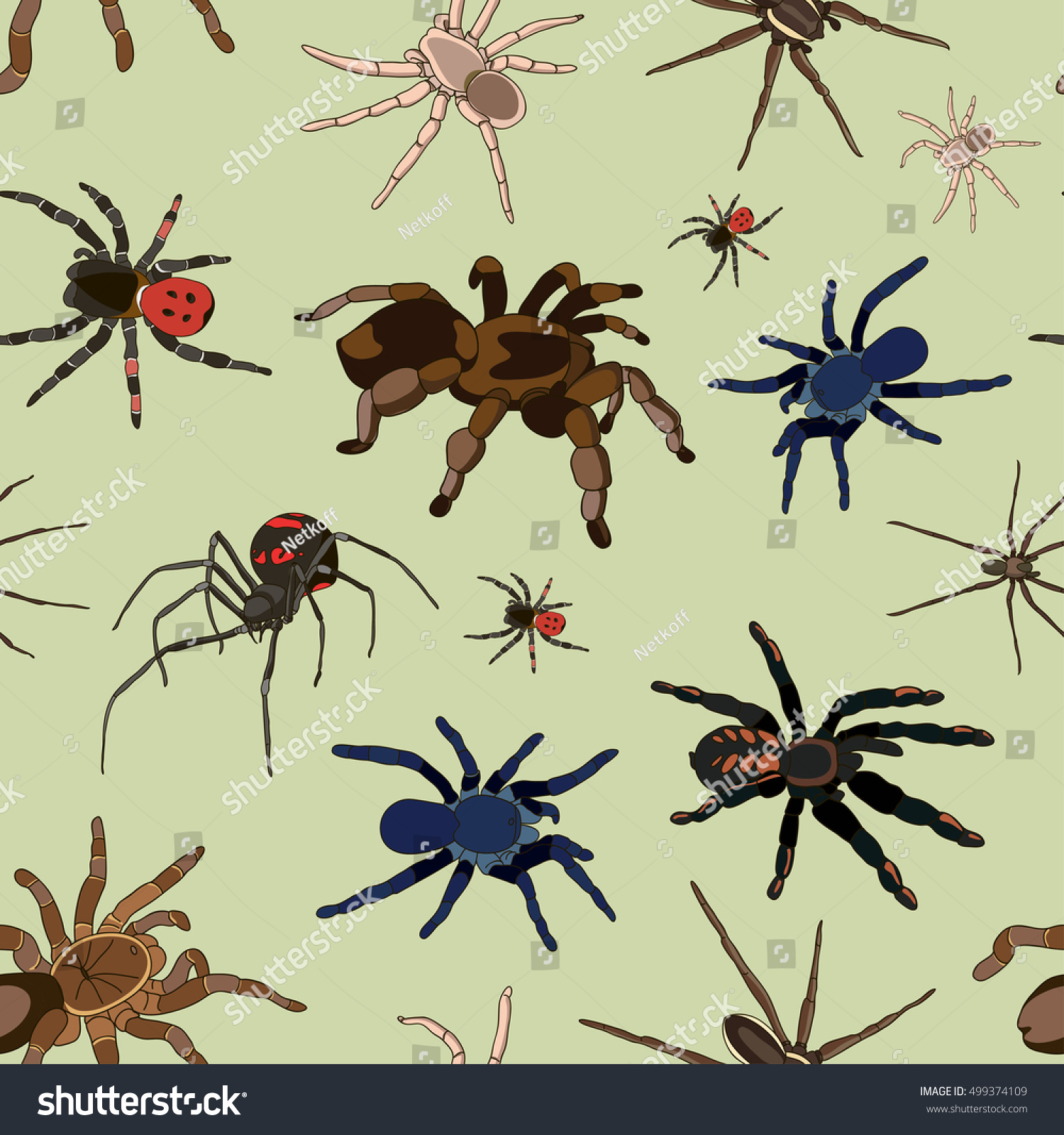 Spiders Vector Set Pattern Stock Vector Royalty Free 499374109