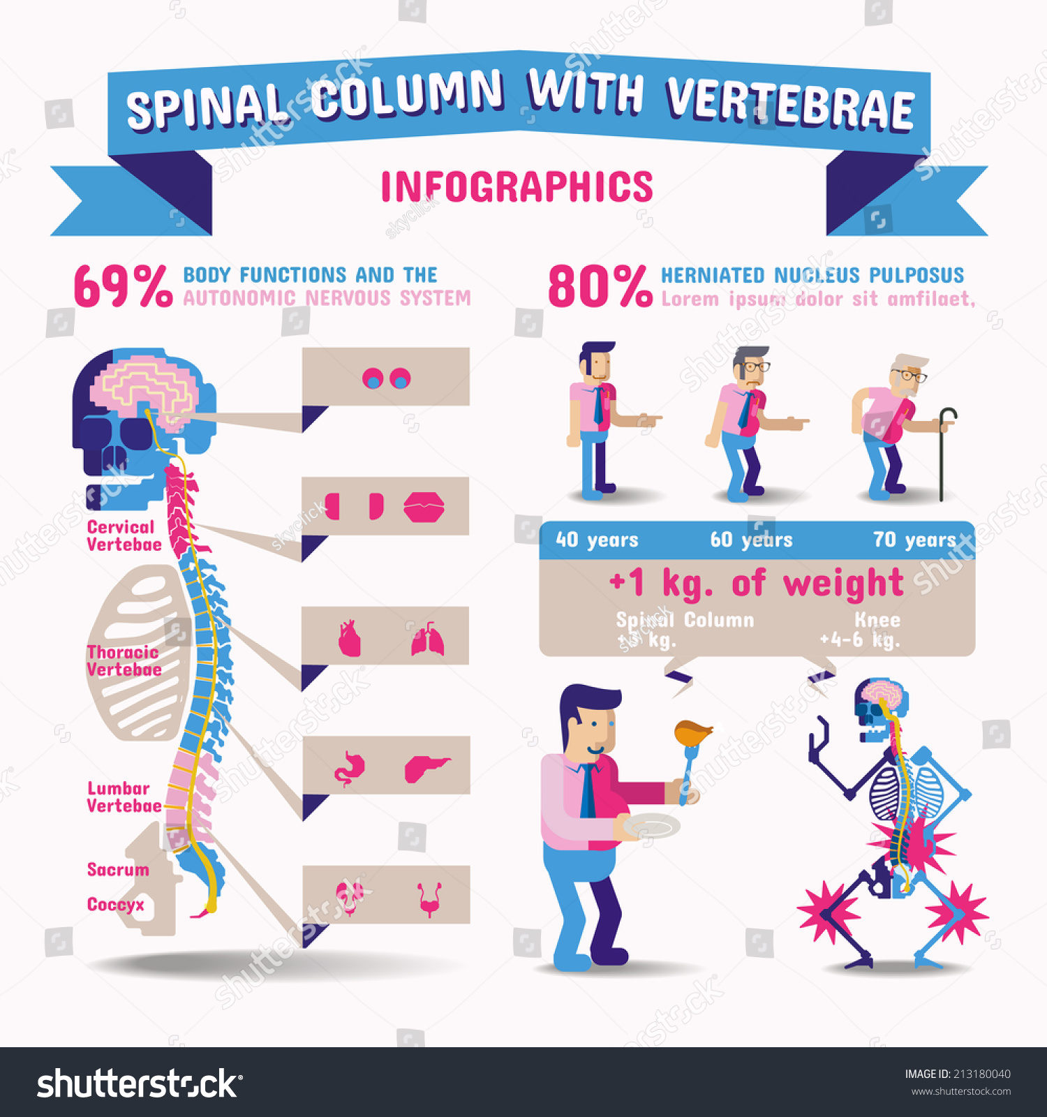 Spinal Column Infographics. Stock Vector Illustration 213180040