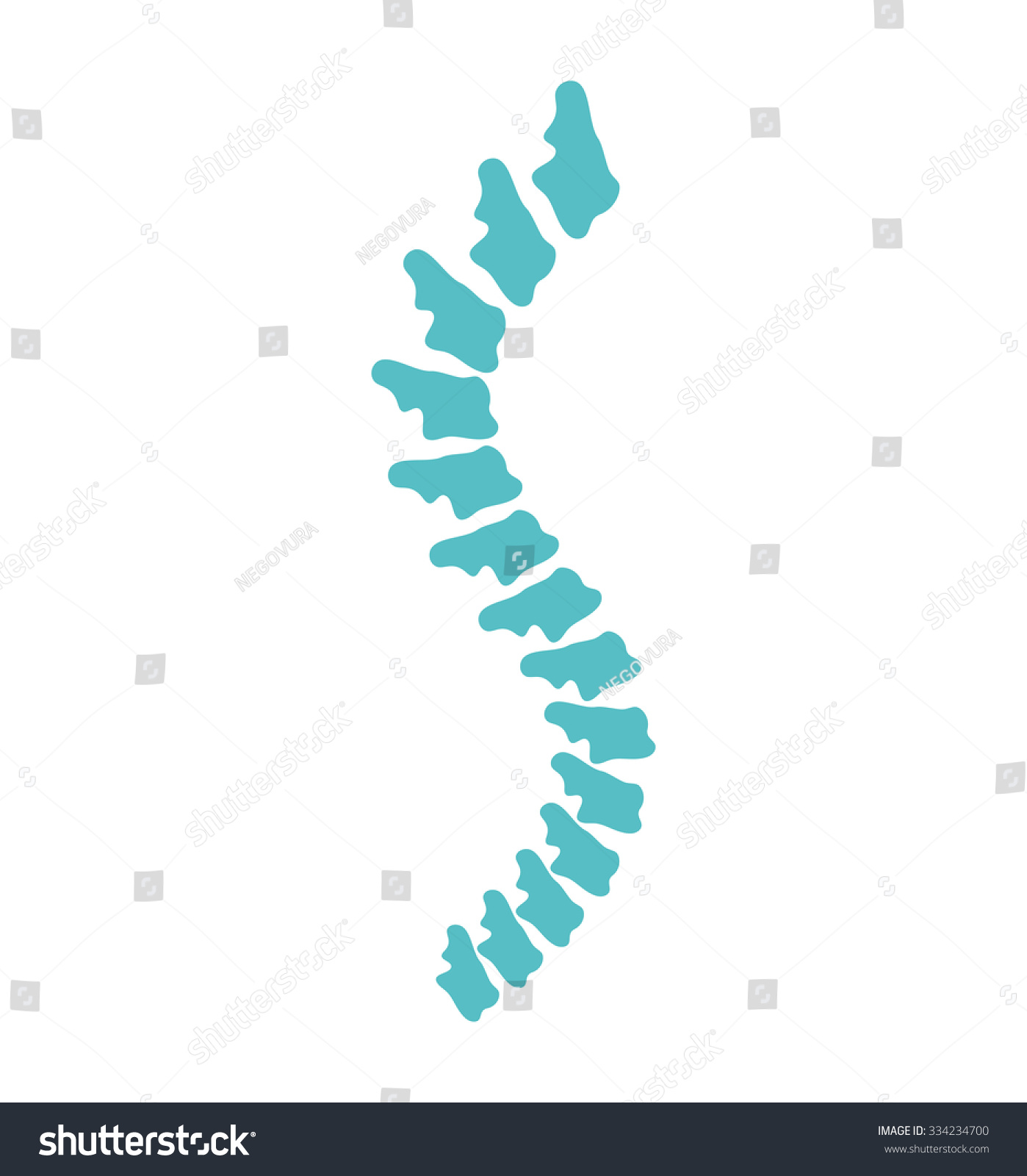 clipart spine logo - photo #18