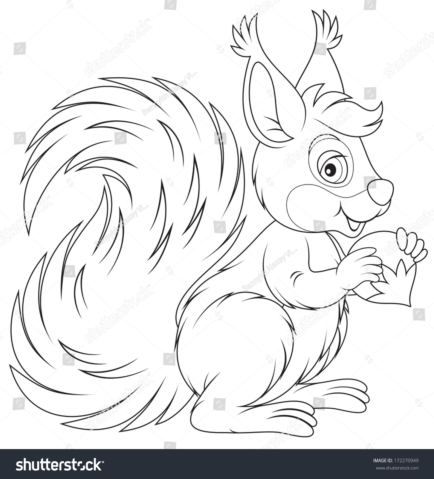 Squirrel Stock Vector 172270949 - Shutterstock